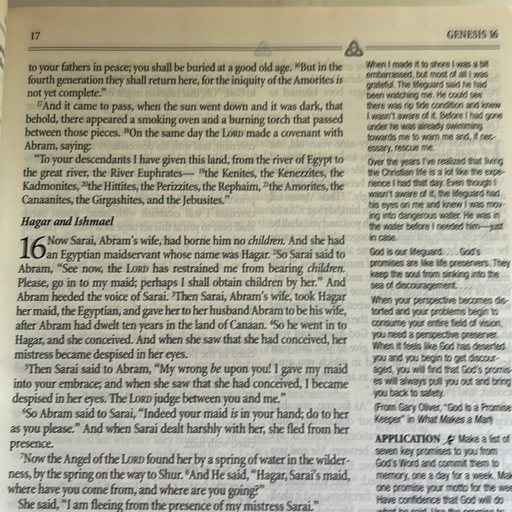 Inspirational Study Bible - Picture 5 of 9